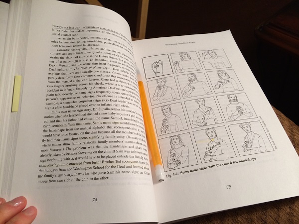 I'm currently learning about the grammar of American Sign Language!