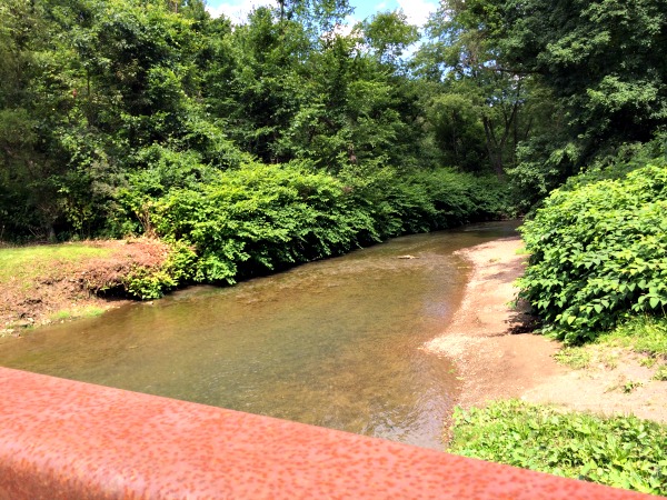 Go fishing or find a trail to hike on!