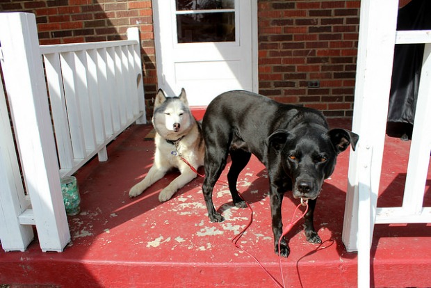 16896706112_c275dbd122_z