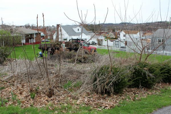 16969492449_8a23466b77_k