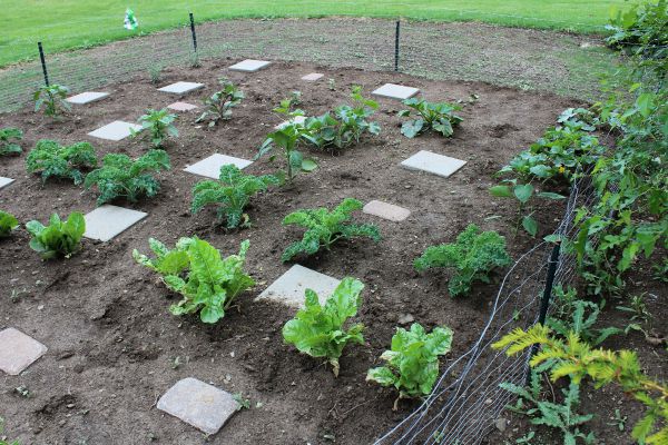 18354951886_152e129778_k