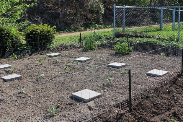 18102909511_a24e0d9a03_k