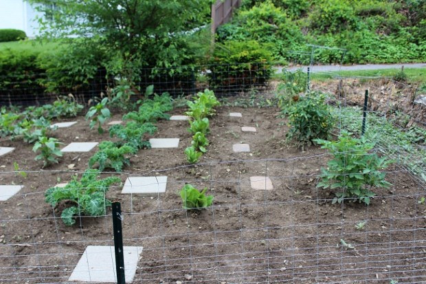 18193534668_75d4af02ad_k