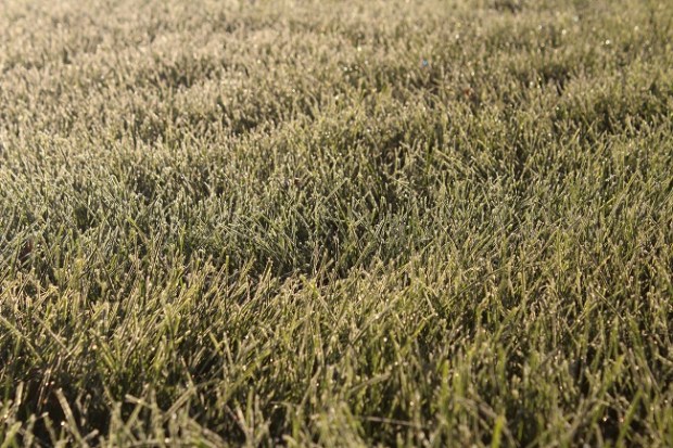 22116319358_230befe835_k