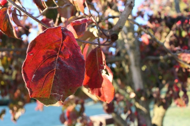 22277988016_faae3b2957_k