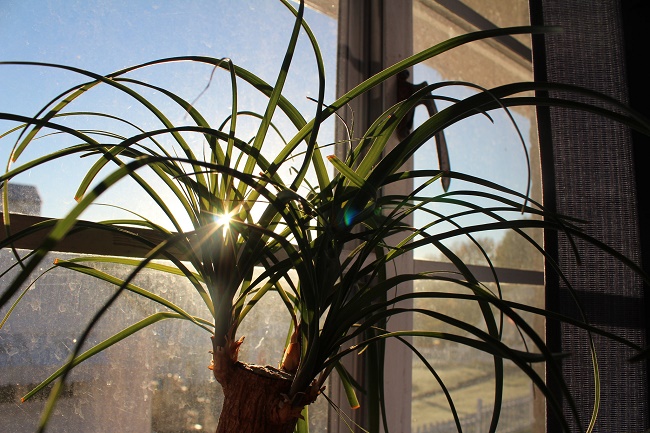 22291103092_31d737df3a_k