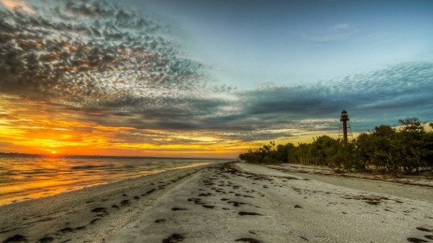 8035635383_fa99c099a2_k