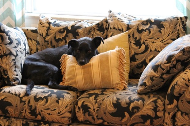 22448365391_ba723e06dd_k