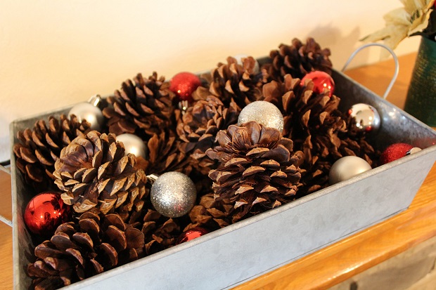 23355135473_21179cad8e_k