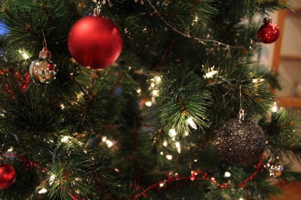 23359138052_b91d8a4749_k