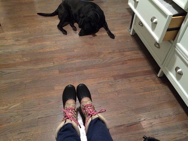 23974619459_f1c00f79d7_z