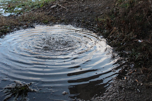 24086874340_1650256304_z