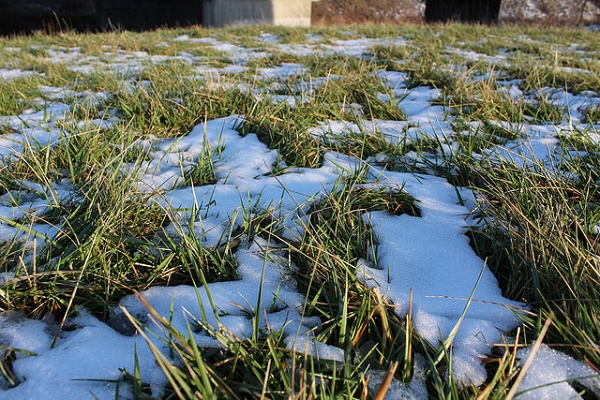 24086879300_487f2b0f13_z