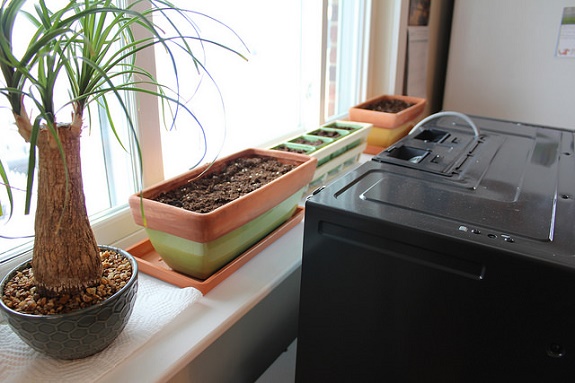 24259872601_d9cec8e332_z