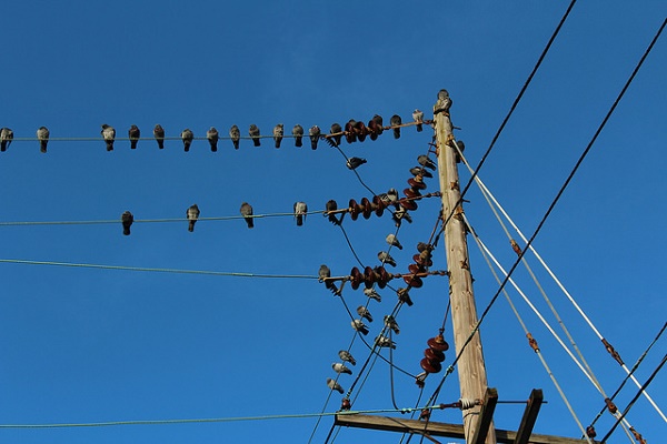 24356270616_62d3f4c418_z