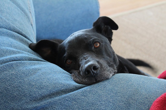 20477724992_3a00890df9_z