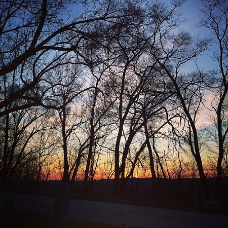 24865760584_441f64aa3d_z