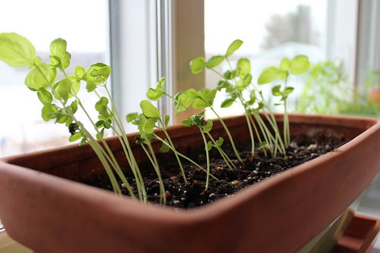 25454044746_fb434eb80e_z