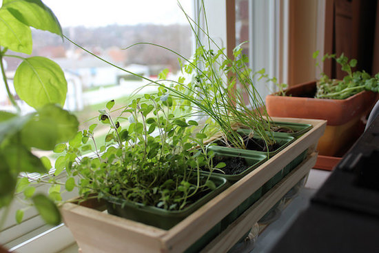 26127514816_b71493c10f_z