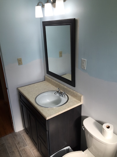 Bathroom Renovation Progress