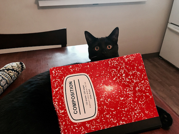 Well, I tried to write in my journal...