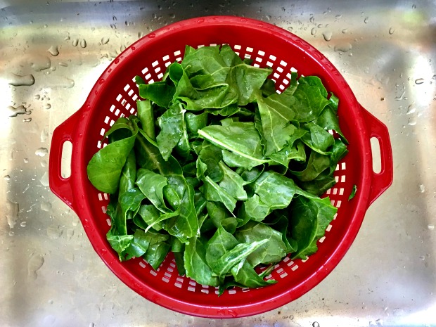 Swiss chard in red strainer