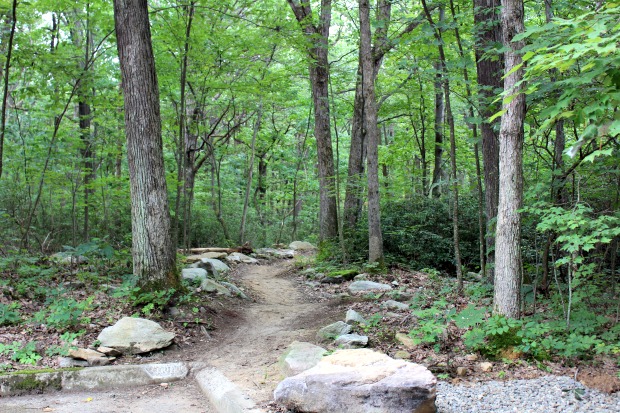 Hiking trail at Jake's Rock in Kinzua PA