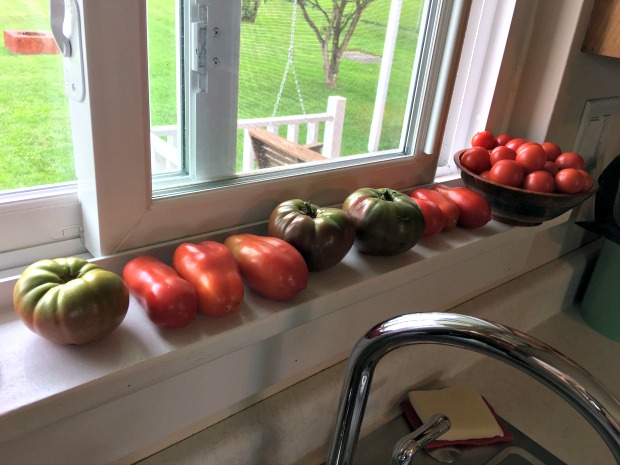San Marzano, cherry, and purple tomatoes