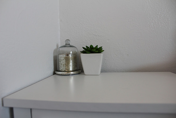 Succulent and candle with cloche