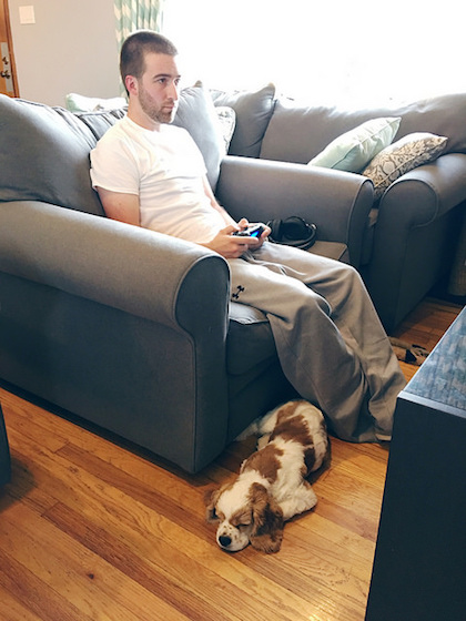 Cocker Spaniel and guy playing video games