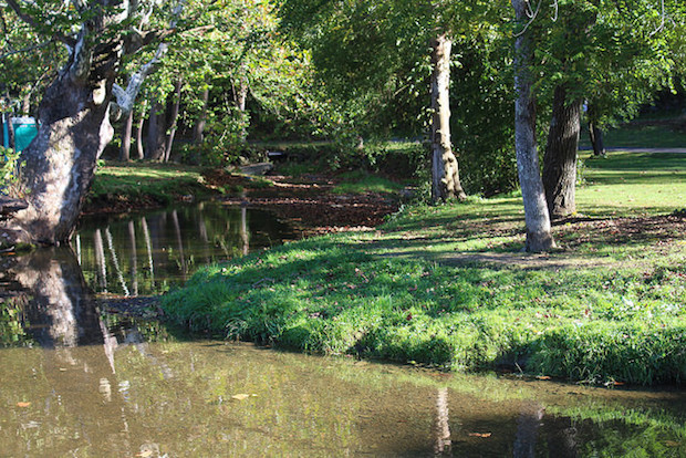 Beautiful stream and trees in the fall