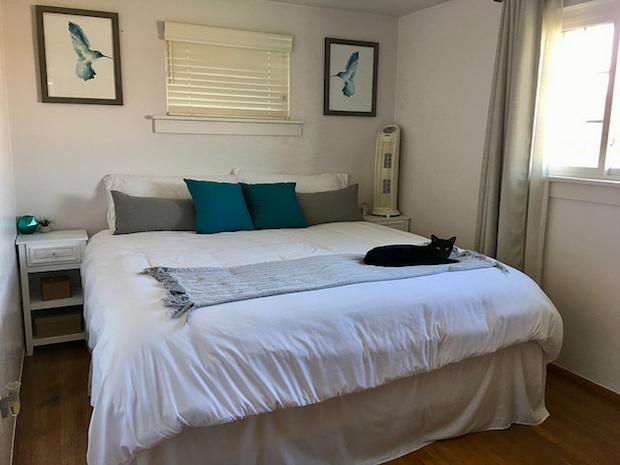 Black cat on white bed