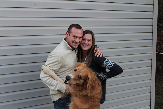 Golden retriever with white on nose and head