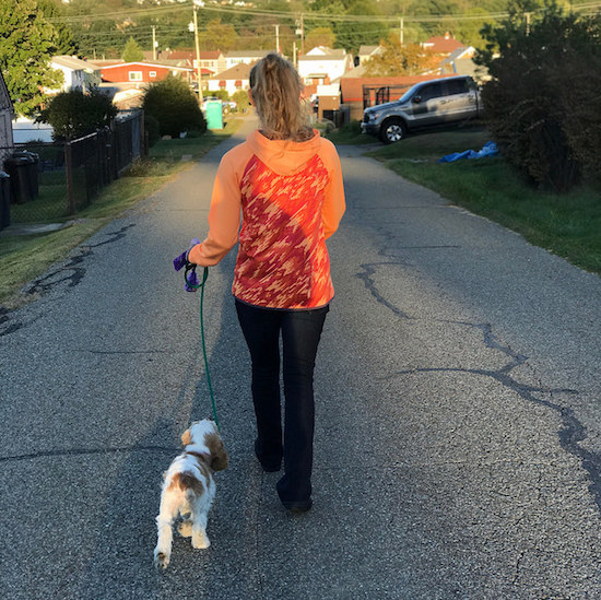 Girl walking cocker spaniel puppy