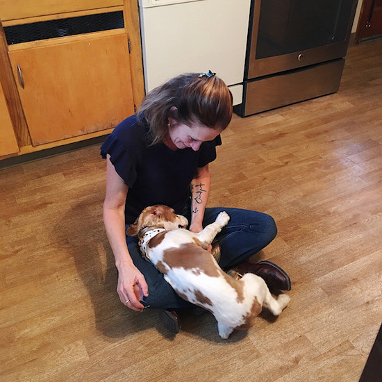 Cocker Spaniel Puppy in lap