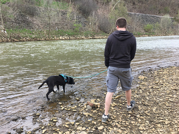 Guy and black lab with harness and leash walking by water creek in Pittsburgh