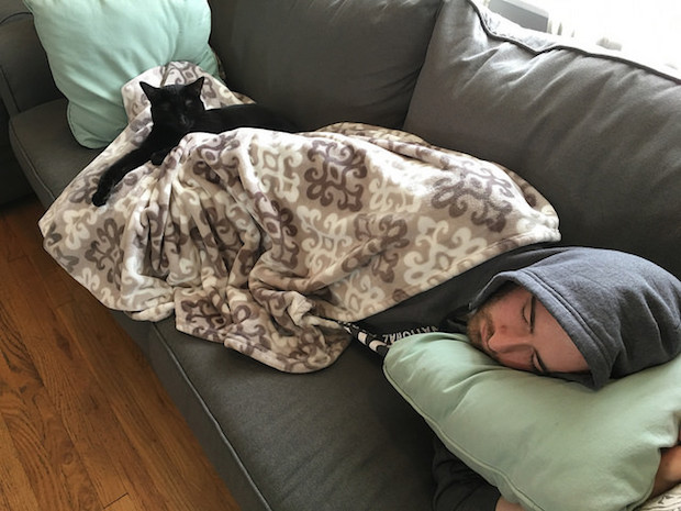 Black cat sleeping on guy