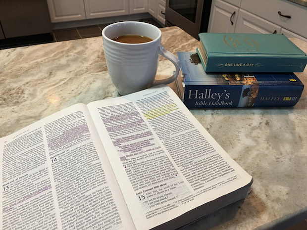 Coffee and Bible and Halley's Bible Handbook One Line a Day Book