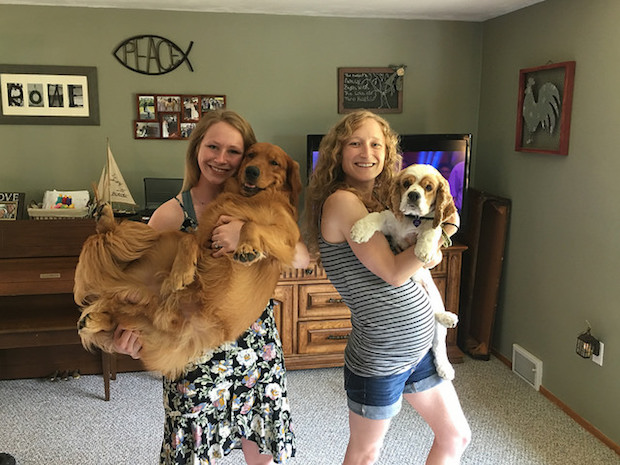 Girls holding golden retriever and cocker spaniel