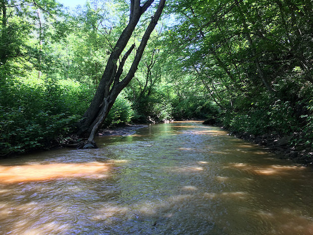 Panhandle Trail by Walkers Mill in Rennerdale PA Pittsburgh