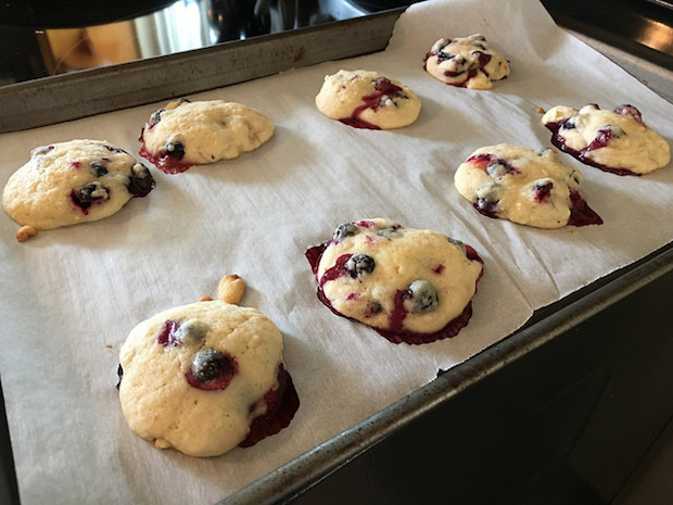 Blueberry muffin cookies