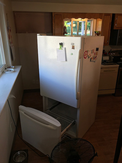 Fridge