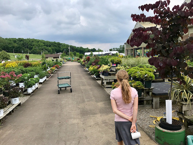Girl looking at garden and farm store Trax Farms in Pittsburgh, PA