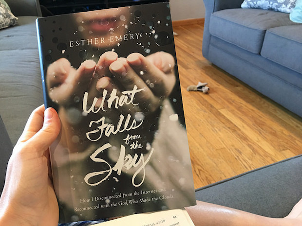 What Falls From the Sky by Ester Emery book