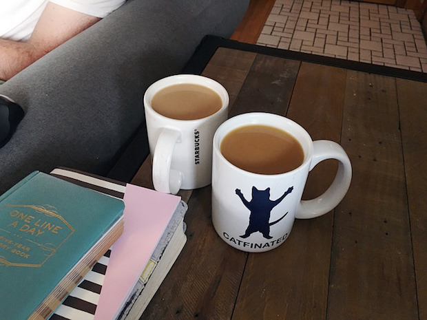 Angel's Cup coffee subscription in Catfinated coffee mug and Starbucks coffee mug