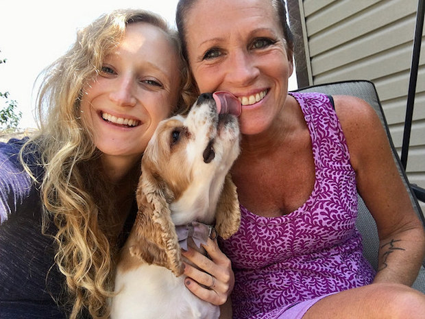 Cocker spaniel puppy kissing woman