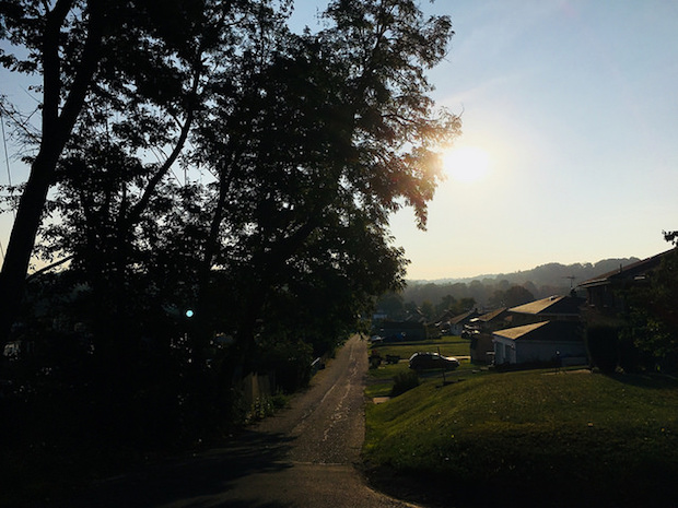 Summer sunrise between trees