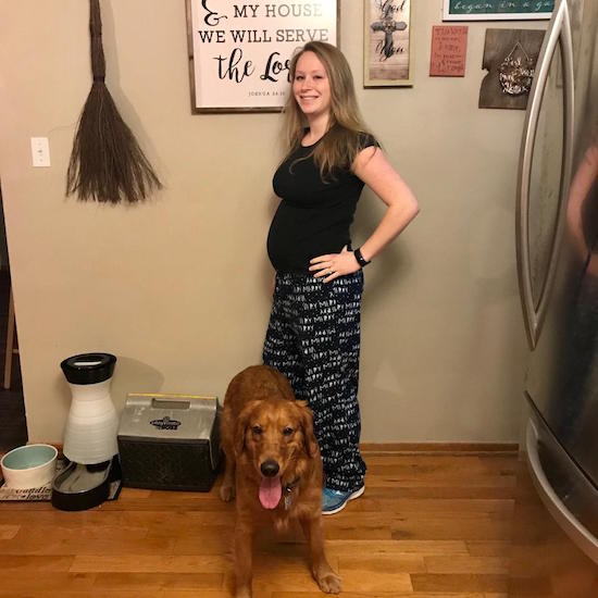 Pregnant girl with golden retriever 21 weeks