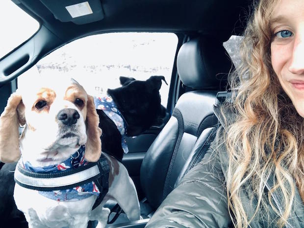 Girl in Ford Raptor truck with cocker spaniel and black lab