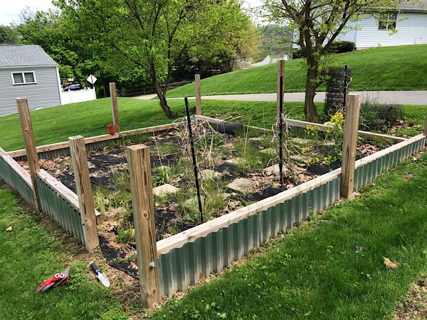 Garden 2019 Vegetable garden plot with wood and steel fencing